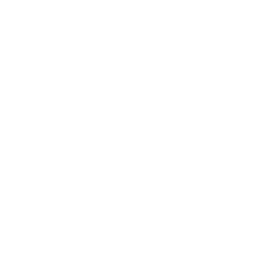 slfholdings.com
